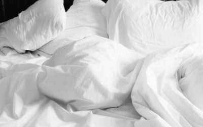 Hausstaubmilben – Tipps zur Bekämpfung
