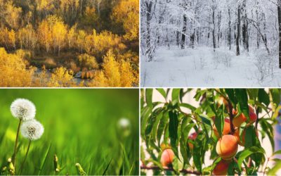 Saisonaler Schlaf: Was unser Körper im Winter, Frühling, Sommer oder Herbst braucht
